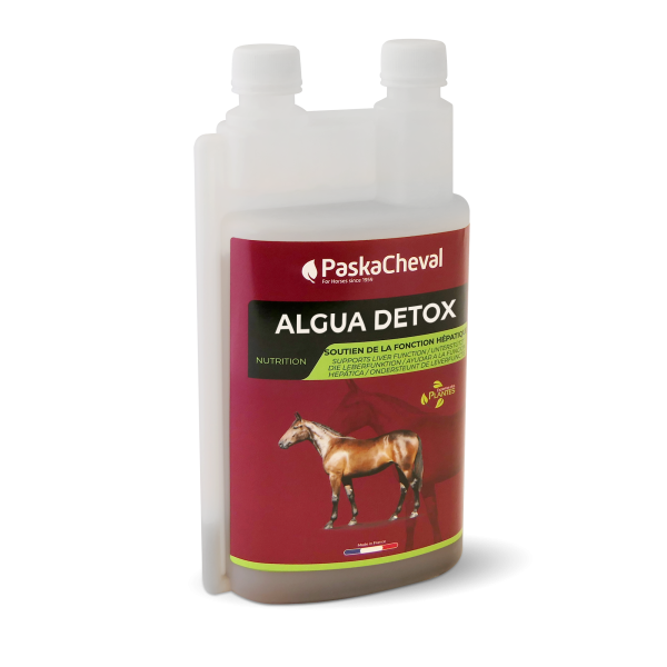 detox paard