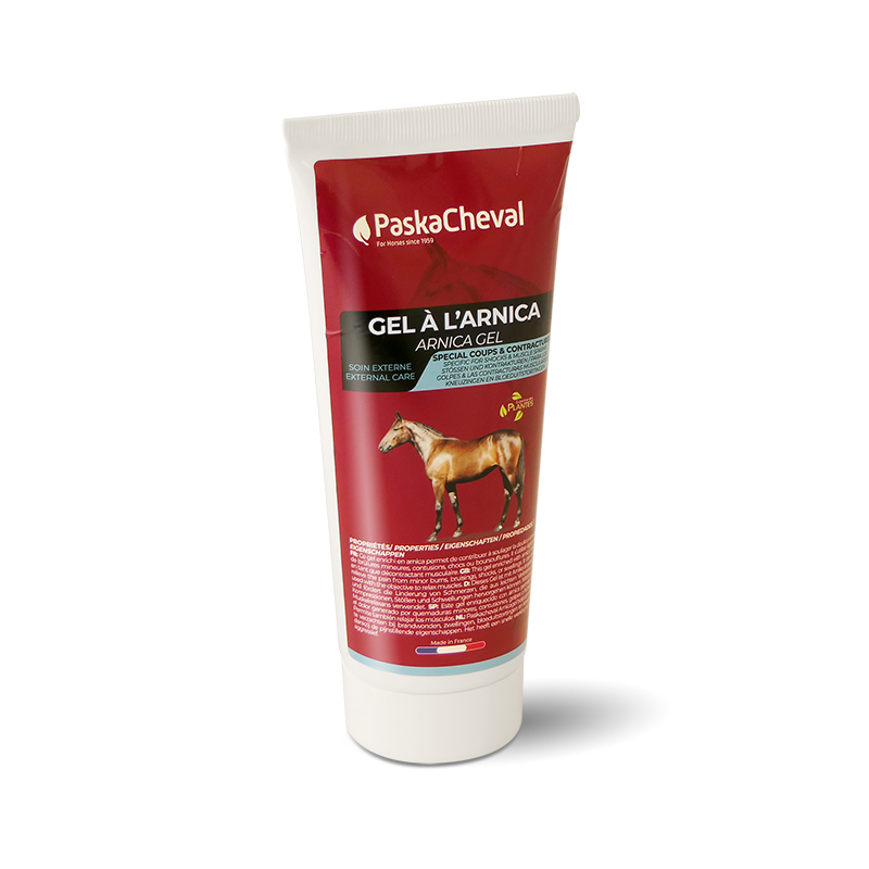 ARNICA GEL paard