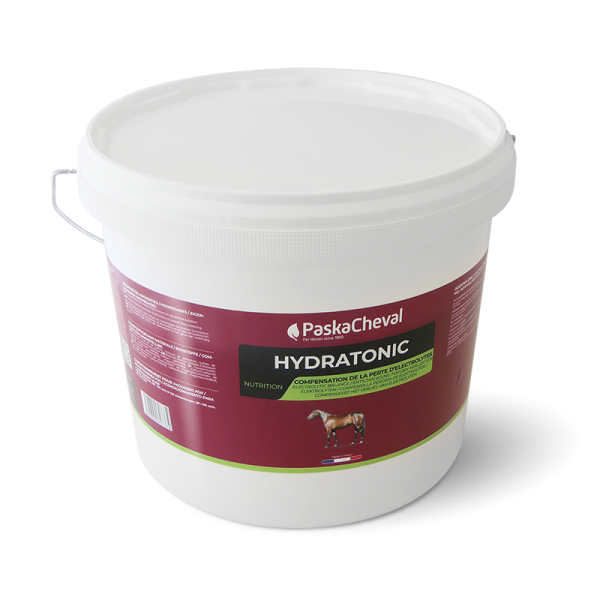 elektrolyten poeder paard