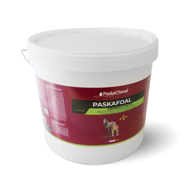 Paskacheval Paskafoal