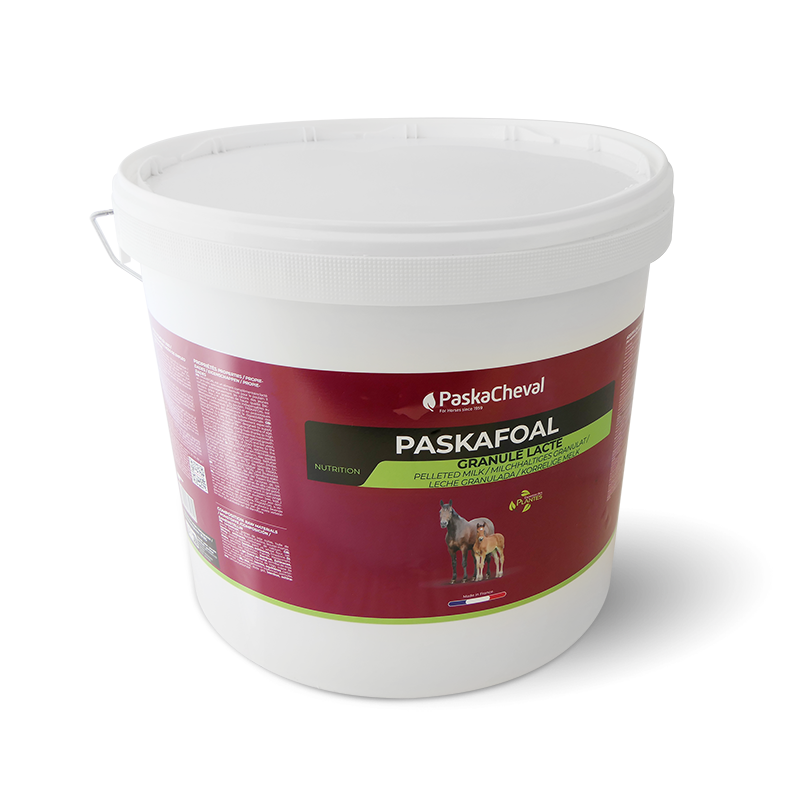 Paskacheval Paskafoal