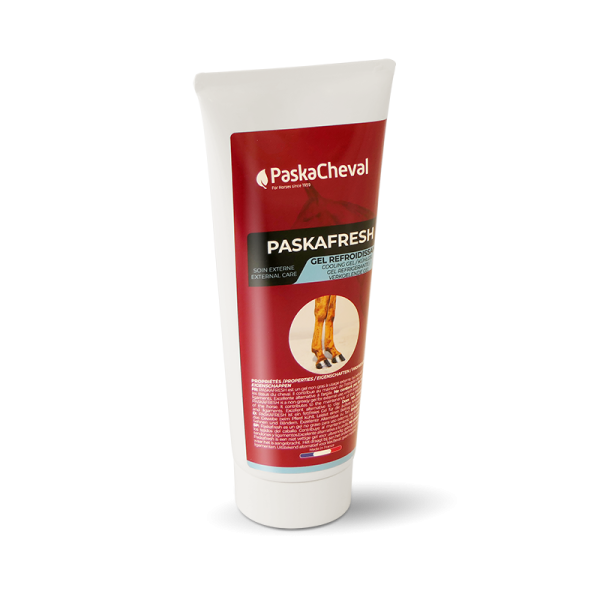 cooling gel paard
