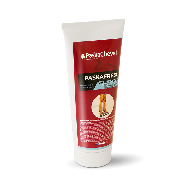 cooling gel paard