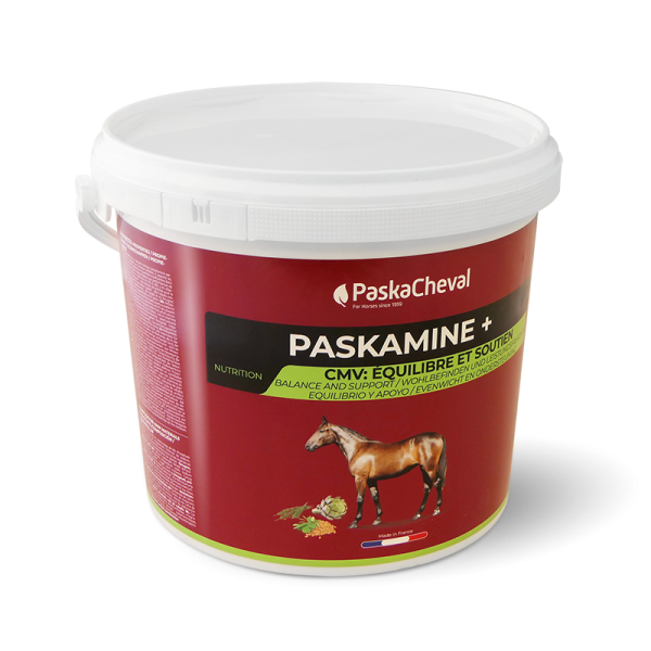 Päskacheval Paskamine