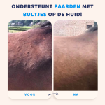 voor en na bultjes op de huid paard