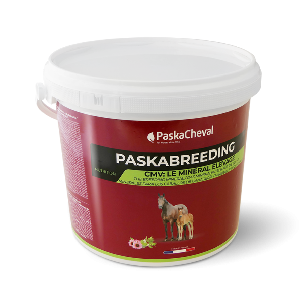 supplement drachtige merrie