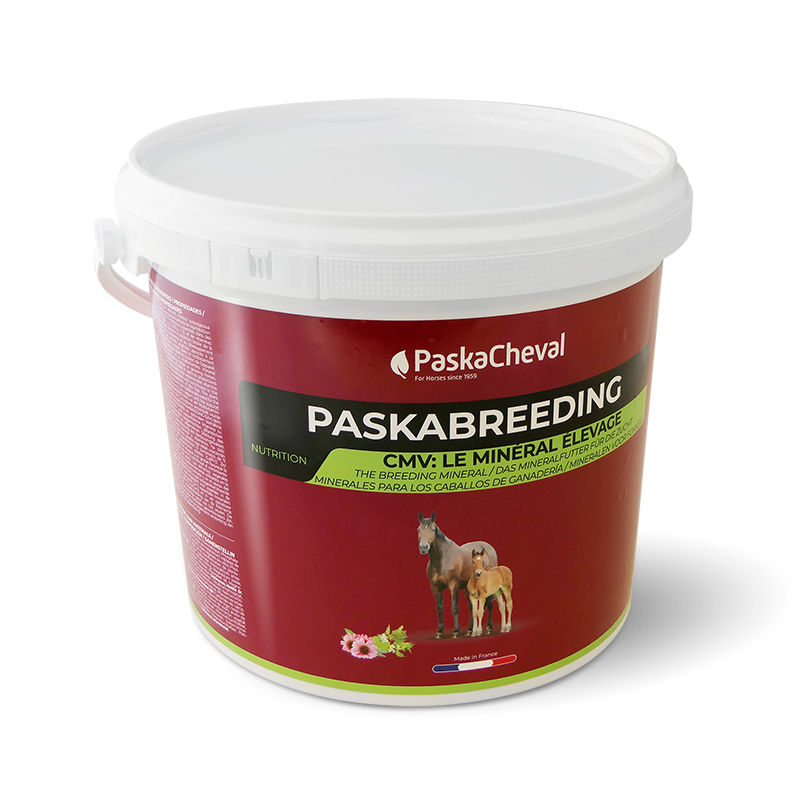 supplement drachtige merrie