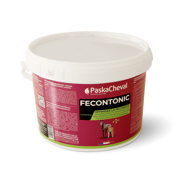 vruchtbaarheid paard