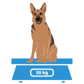 dosering hondensupplement gewicht hond 26 kg tot 50 kg
