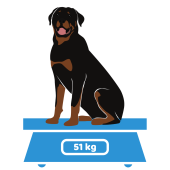 dosering hondensupplement gewicht hond boven 50 kg
