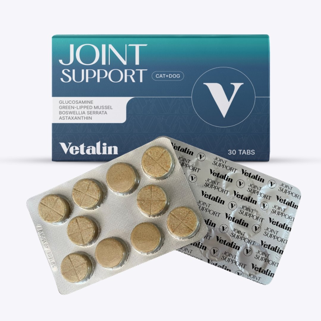 Gewrichten kauwtabletten hond