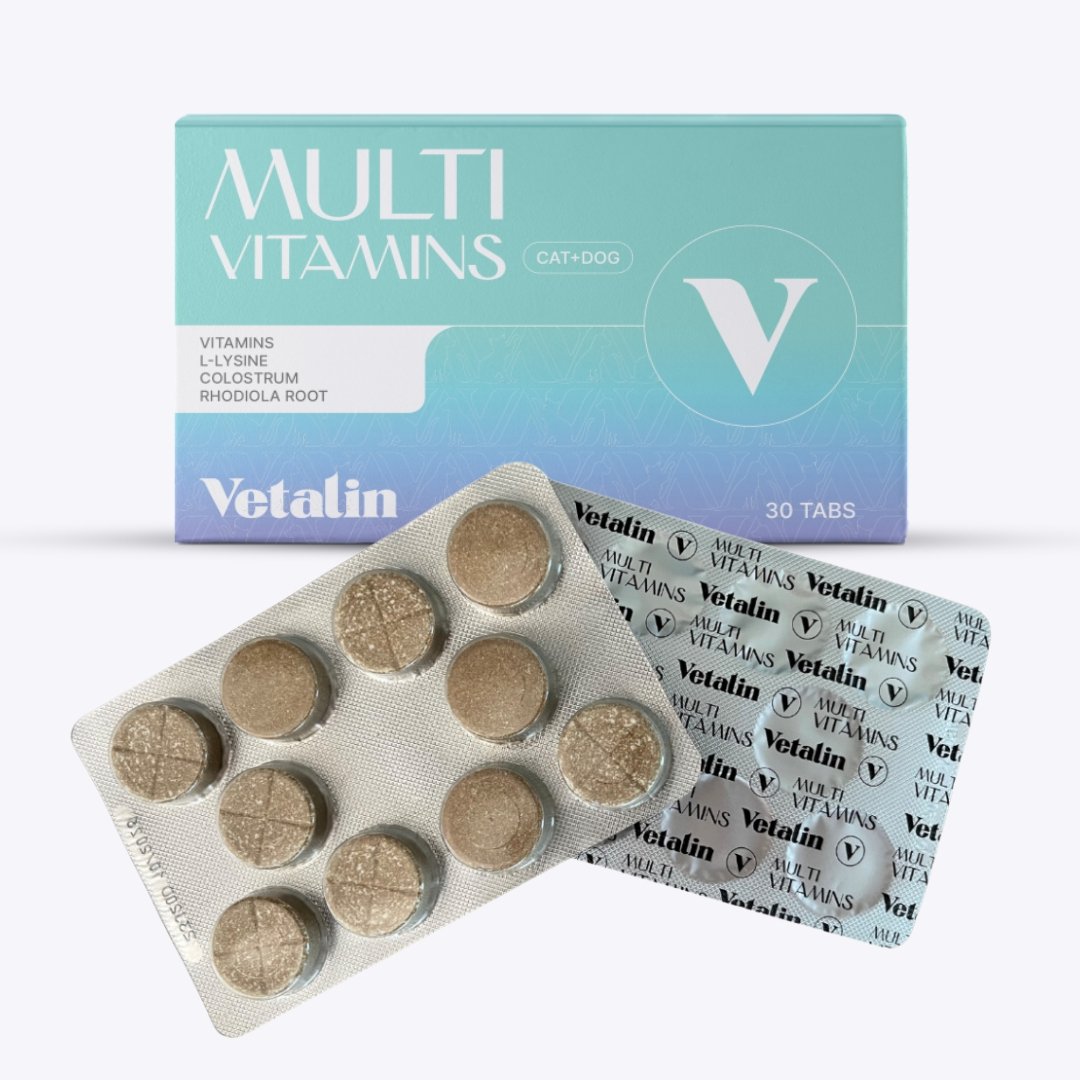 Multivitamine kauwtabletten hond