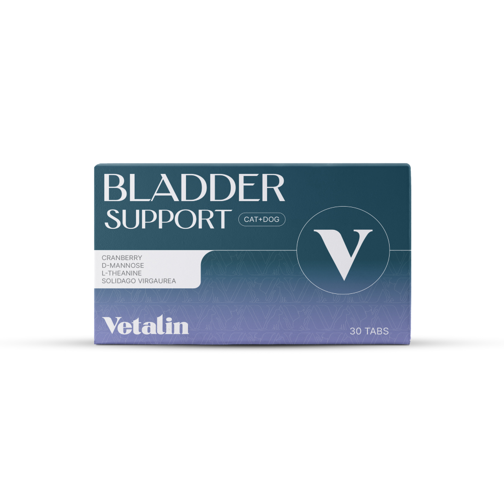 Vetalin blaas kauwtabletten hond