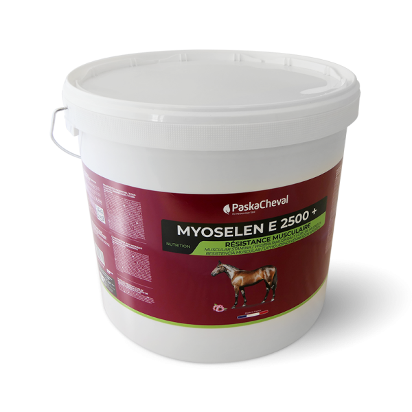 supplement soepele spieren paard