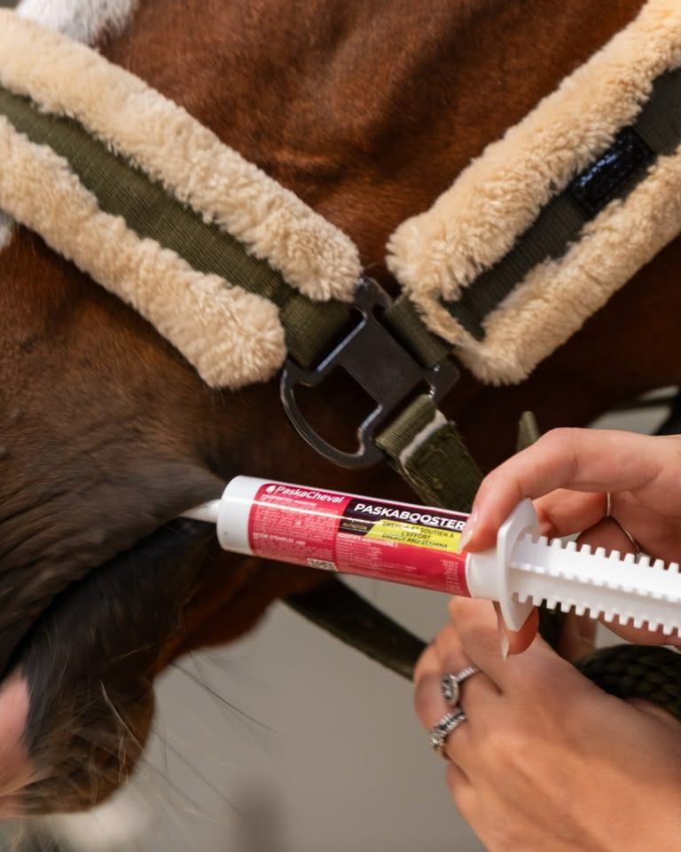 paskabooster vitaminespuit paard