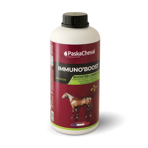 immunoboost paard