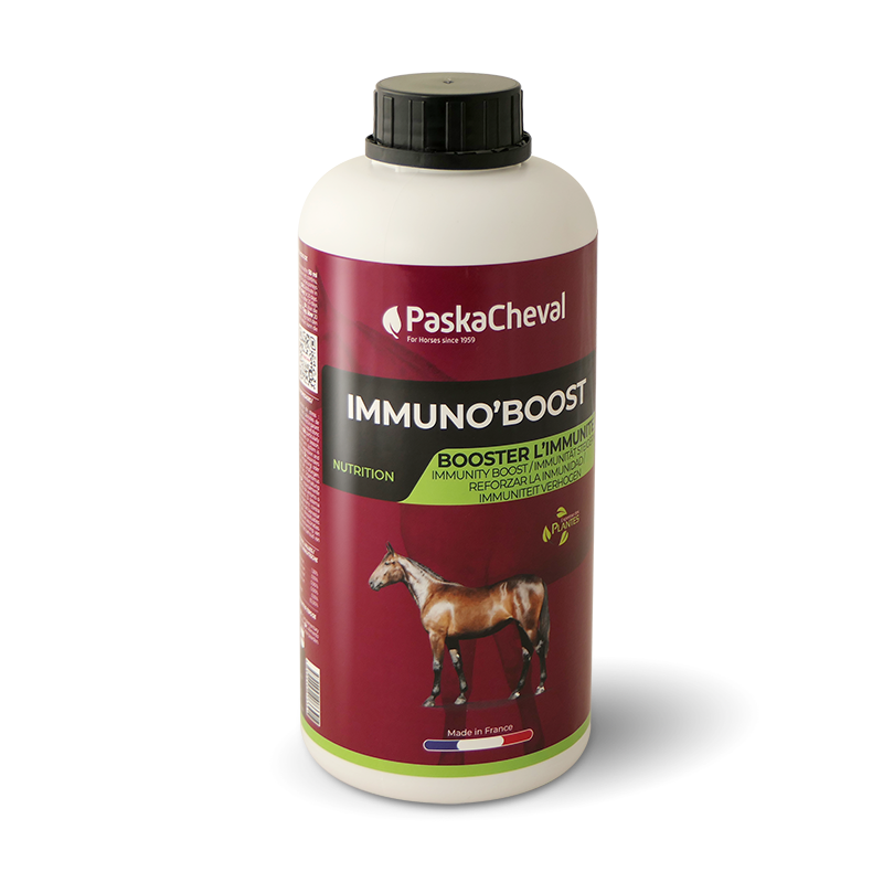 immunoboost paard