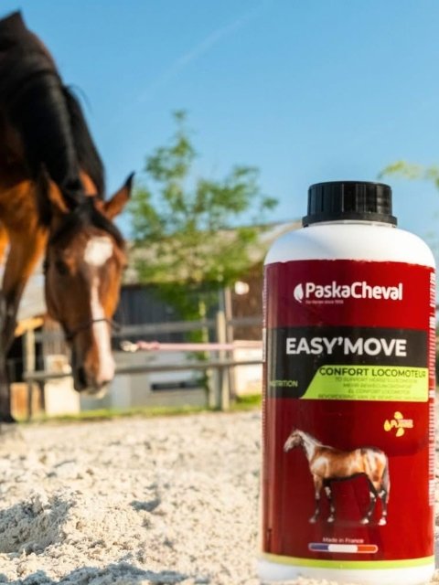 Supplement spieren en gewrichten paard