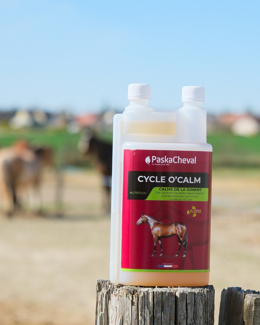 hengstigheid merrie onderdrukken