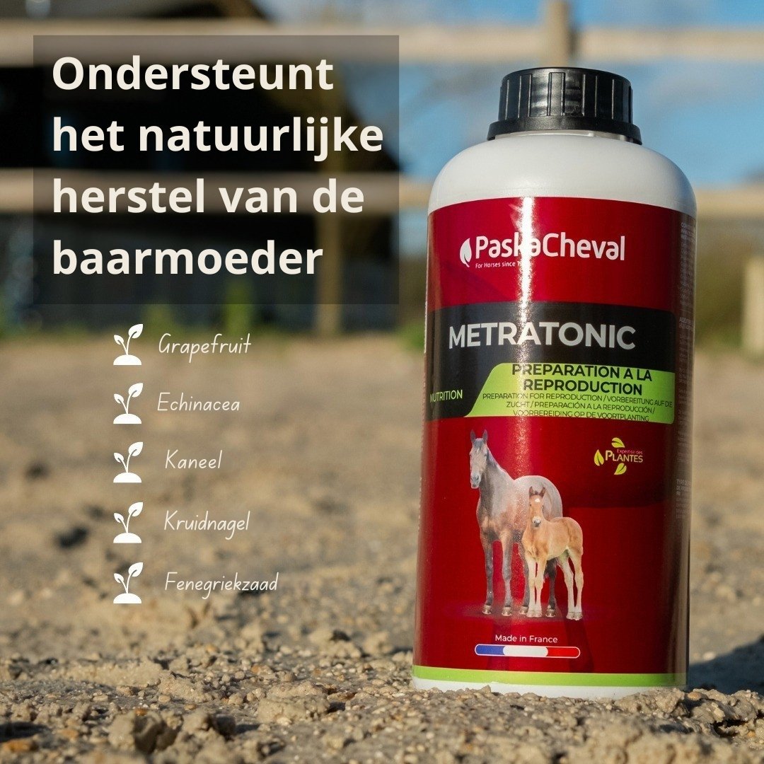 metratonic baarmoeder paard