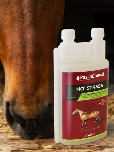 rustgevend supplement paard