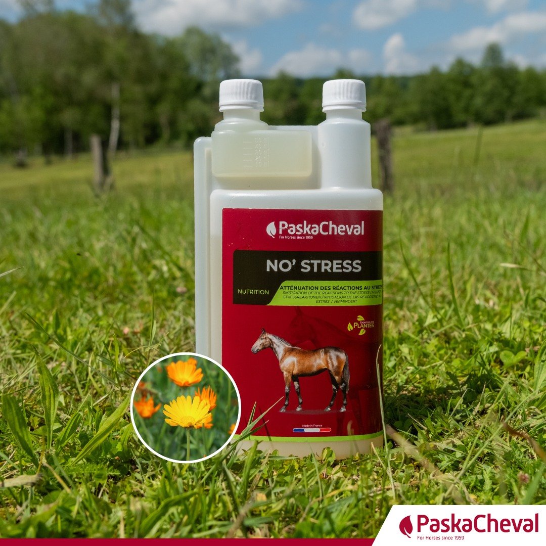 rustgevend supplement paard