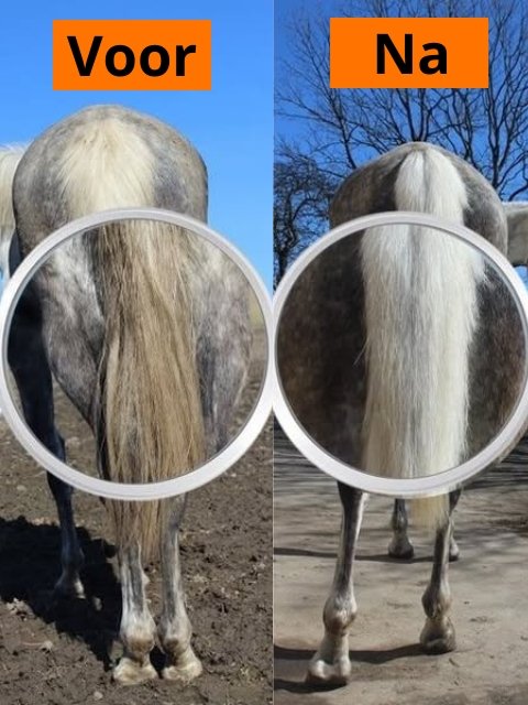 witte paarden shampoo