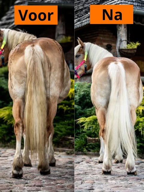 witte paarden shampoo