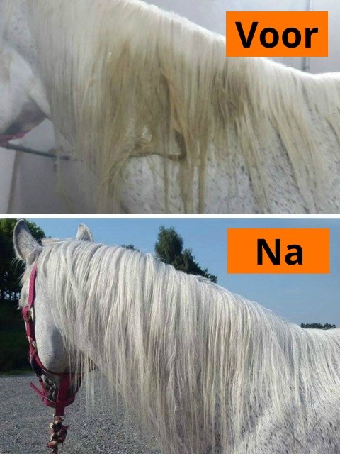 witte paarden shampoo