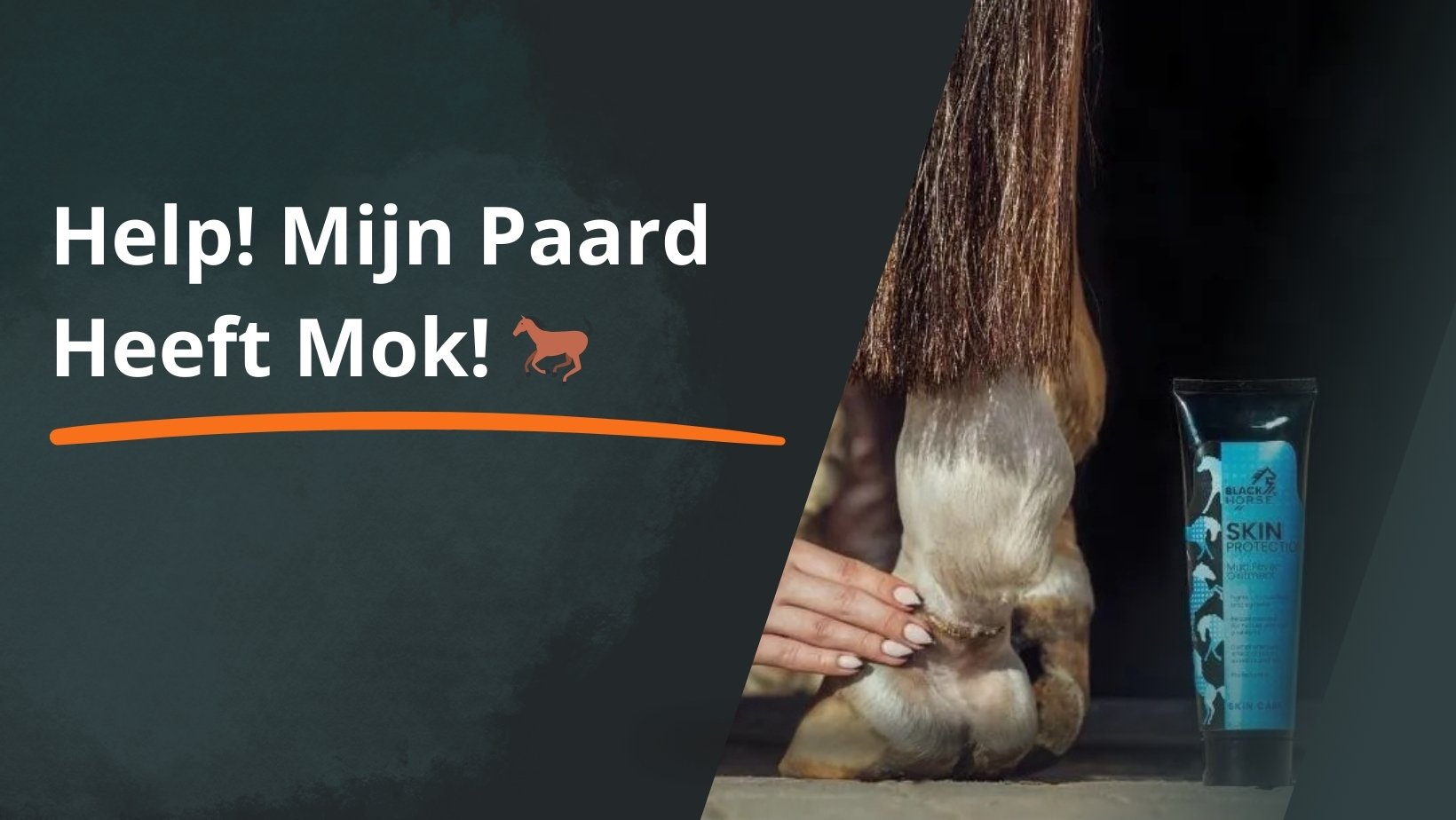 mok bij paarden