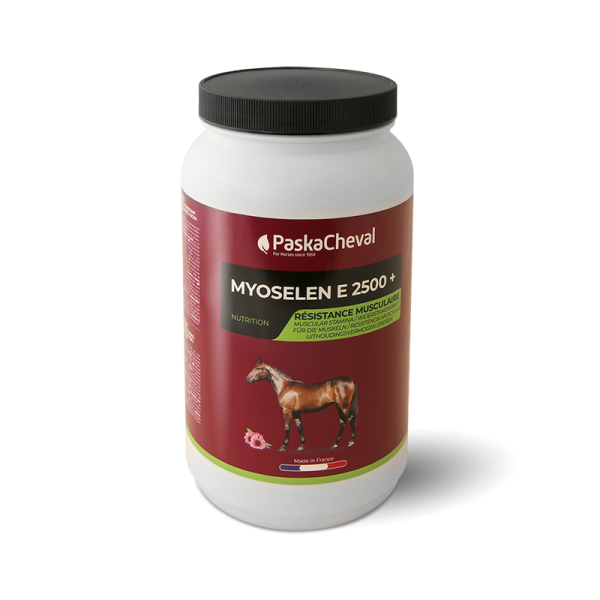 soepele spieren paard