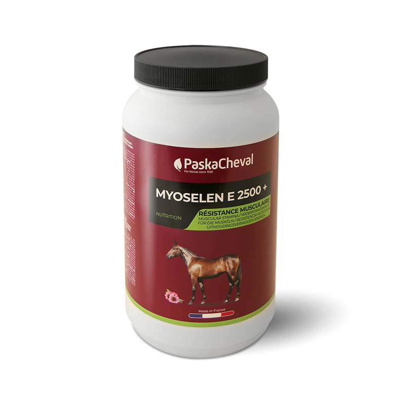 soepele spieren paard