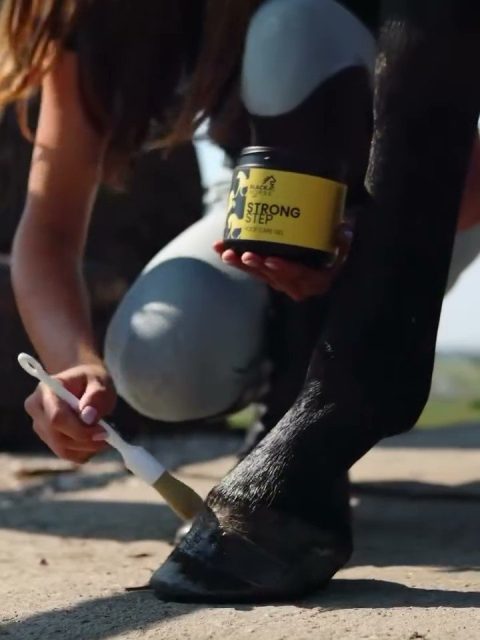 hoefverzorging paard