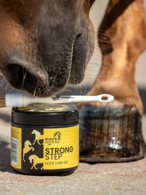 hoefverzorging paard strong step