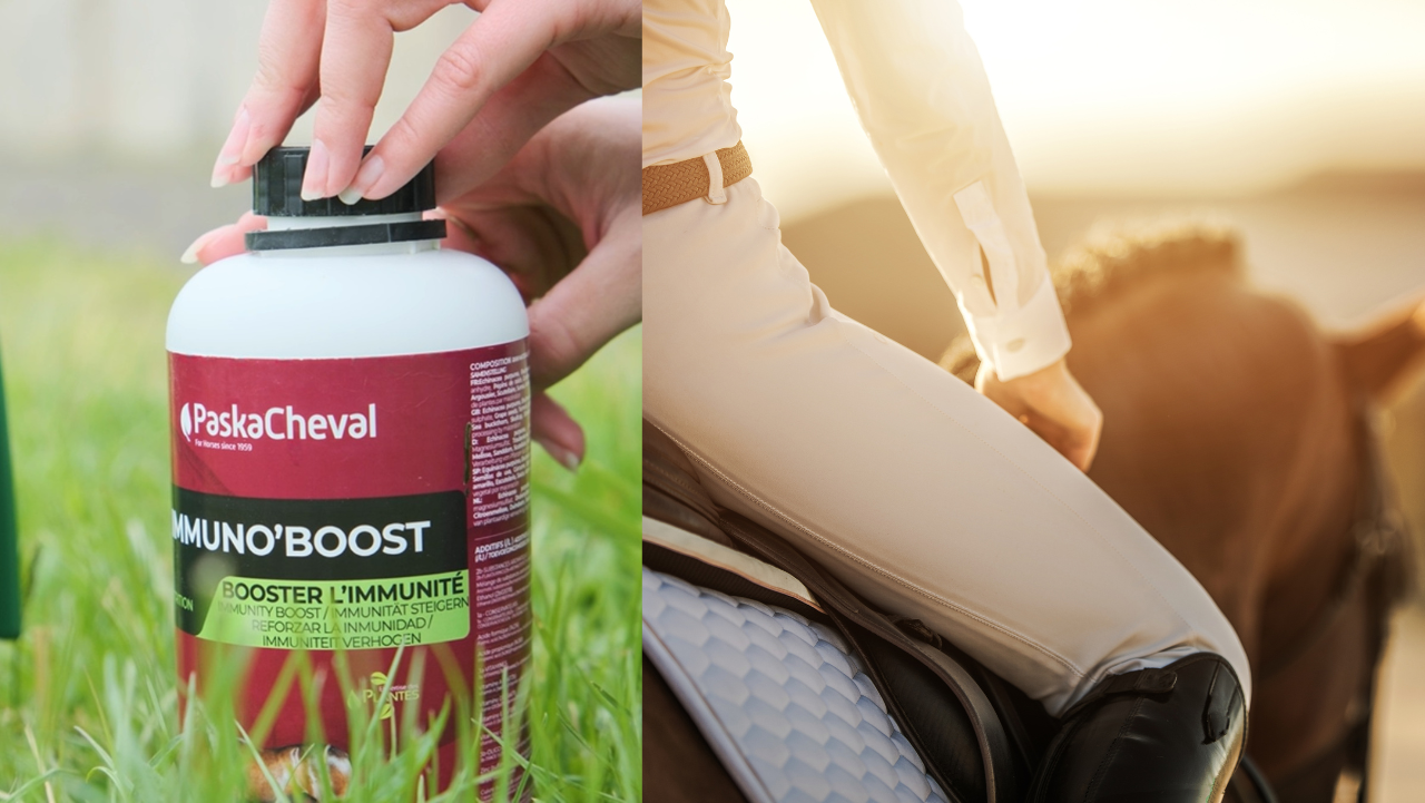 mineralen supplement paard