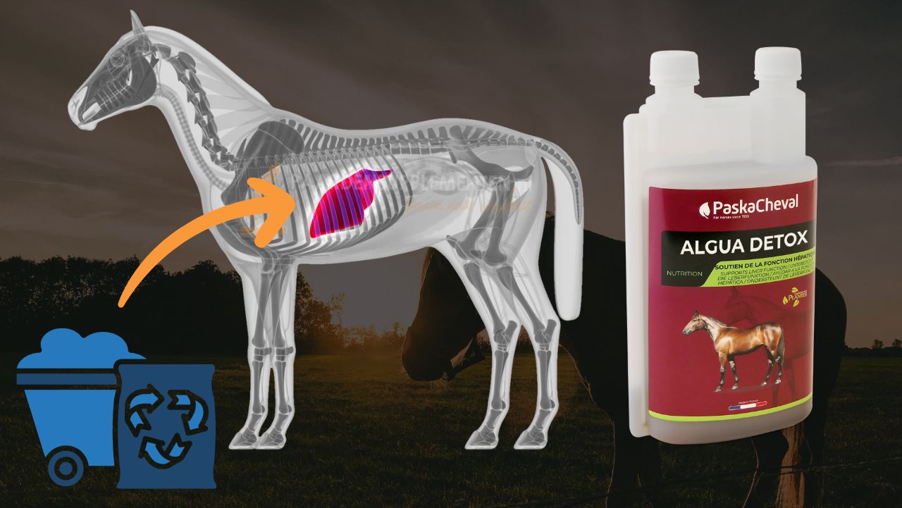 ophoping afvalstoffen paarden