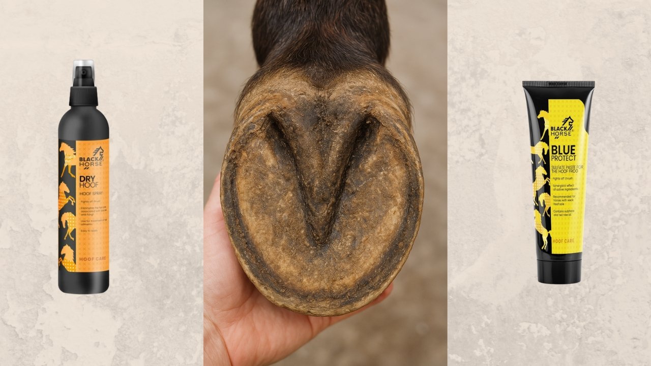 rotstraal bij paarden