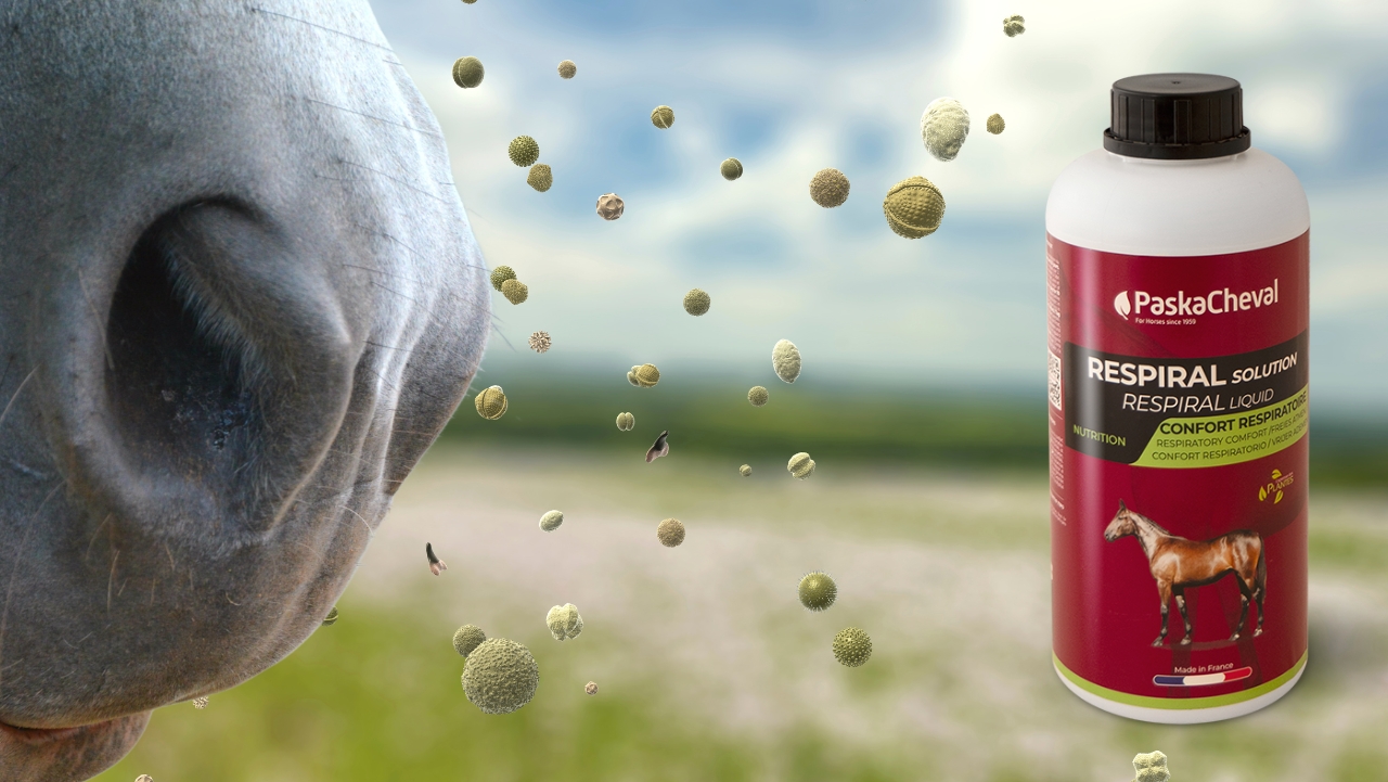 paard last van pollen