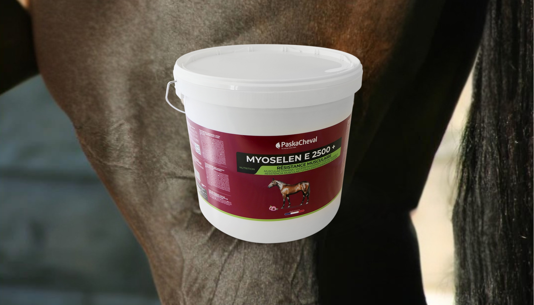 soepele spieren paard