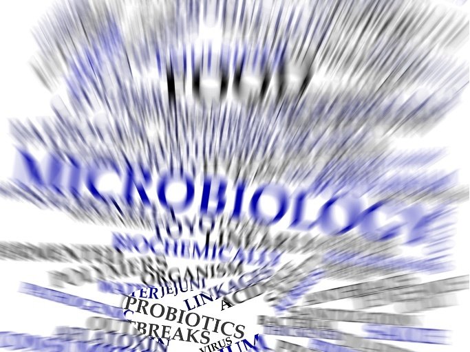 Probiotica voor paarden