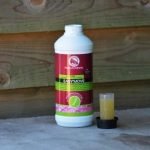 Easy Move: spieren en gewrichten