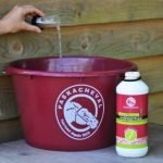 Duivelsklauw paard - Harpagoflex